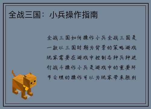 全战三国：小兵操作指南